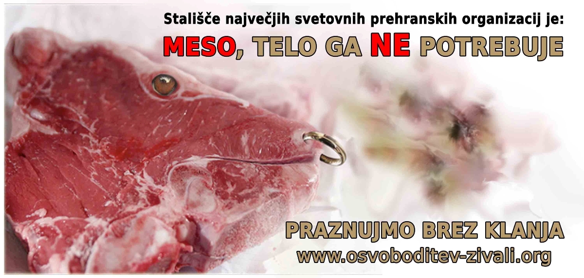 Praznujmo-brez-klanja-s